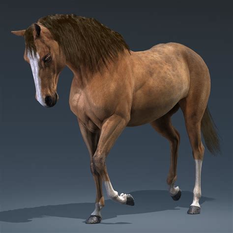 3d horse